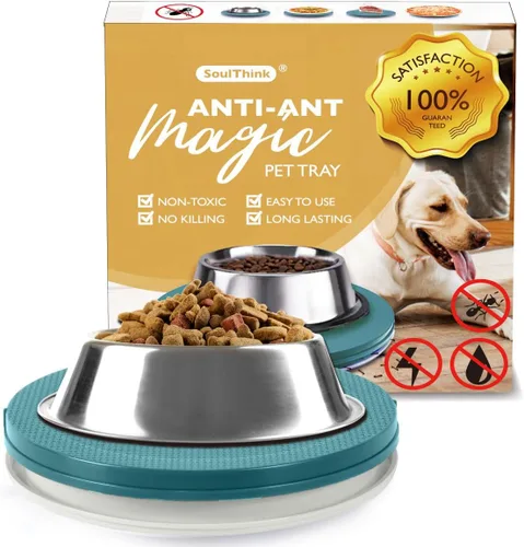 SoulThink® Bandeja a prueba de hormigas para gatos y perros – Nueva innovación anti hormigas plato de comida para mascotas para interiores, sin