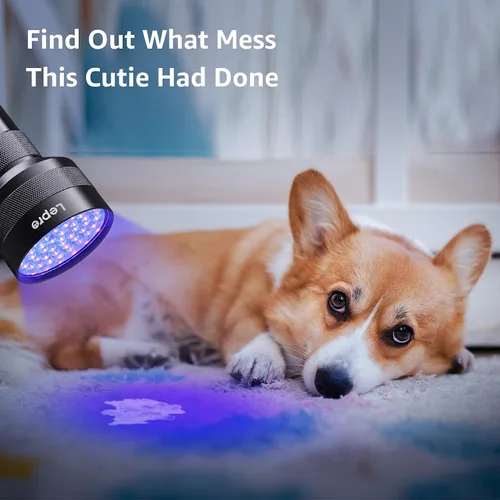 Miniatura 3 de Lepro - Linterna UV de 51 LEDs, luz negra manual, linterna UV con luz negra, detector de 395nm para orina de mascotas, manchas, chinches de cama
