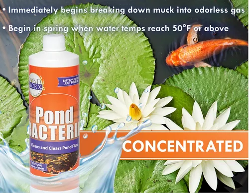 Miniatura 3 de Pondworx Pond Bacteria - Concentrado y formulado para características del agua - Seguro para Koi - 16 onzas y trata hasta 2,500 galones de agua