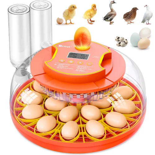 Incubadora de 18 huevos con giro automático de huevos, control digital de humedad de temperatura, incubadora para incubar huevos, vela de vista de