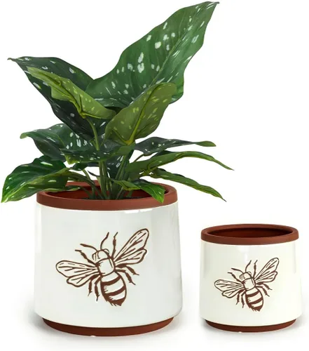 Miniatura 19 de Macetas de terracota con orificios de drenaje con decoración de abejas, macetas de cerámica para plantas de interior y exterior, suculentas