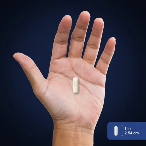 Miniatura 7 de Piping Rock Quercetina Zinc Complex 1100 mg 60 Cápsulas Flavonoide potente Suplemento sin OMG, sin gluten