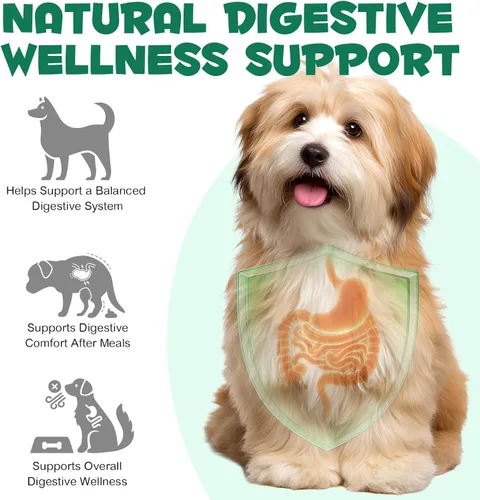 Miniatura 6 de ALIVO Polvo de carbón activado para perros, gatos, suplemento de salud en polvo de carbón activado, apoya el bienestar digestivo y la frescura oral