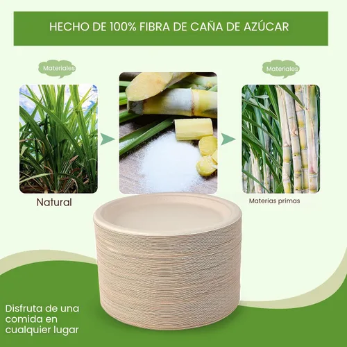 Miniatura 5 de Vplus Paquete de 150 platos de papel desechables compostables de 10 pulgadas, súper fuertes, 100% bagazo, natural, biodegradables, ecológicos