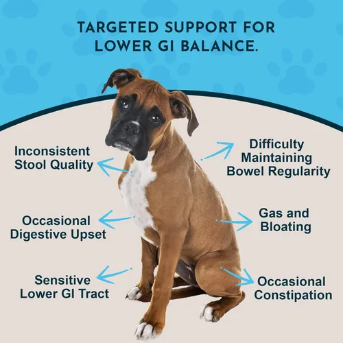 Miniatura 2 de Animal Essentials Colon Rescue - Fórmula de hierbas para perros y gatos, tracto gastrointestinal saludable, sabor dulce, hierbas 100% orgánicas