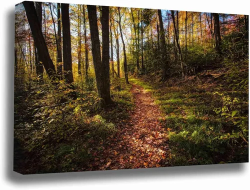 Miniatura 6 de Nature Canvas Wall Art (Ready to Hang) Gallery Wrap of Leaf Covered Trail Leading Into Forest on Autumn Day in Great Smoky Mountains Tennessee