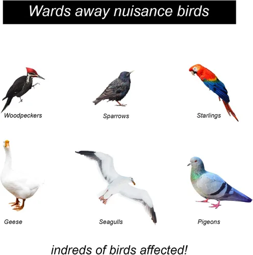 Miniatura 5 de Besmon Dispositivos de miedo de pájaros carpinteros, dispositivo de control reflectante para mantener a las aves lejos del patio y la piscina