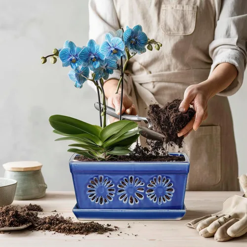 Miniatura 7 de EFISPSS Maceta de orquídea de 10 pulgadas, macetas de cerámica para orquídeas con agujeros, macetas de interior con drenaje y platillo, macetas