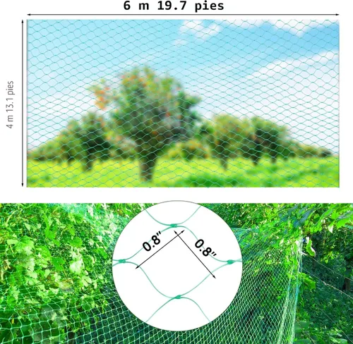 Miniatura 4 de Ruolan Red para pájaros para jardín, protege plantas vegetales y árboles frutales, 13 x 20 pies, red de plástico para pájaros, ciervos, ardillas