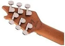Miniatura 5 de EVH Guitarra eléctrica Wolfgang Standard QM - Northern Lights