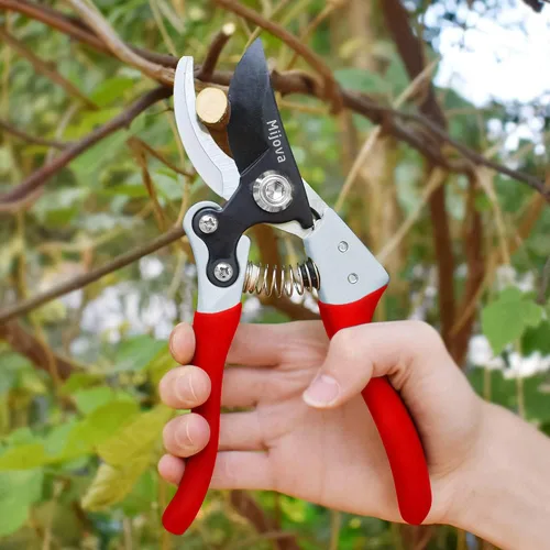 Miniatura 7 de Podadoras de jardín, cortadoras de jardín resistentes, tijeras de podar con bloqueo de pulgar ajustable, herramientas de jardinería manuales, Negro
