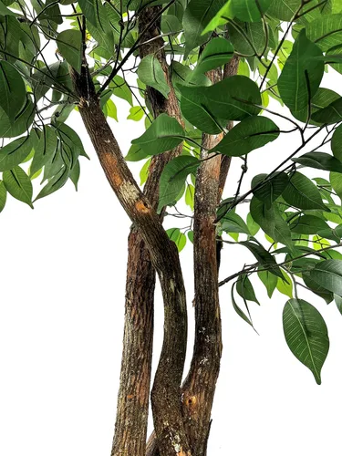 Miniatura 6 de Cypress & Alabaster Árbol artificial de ficus de 3 niveles hecho a mano de 6.5 pies con troncos de madera real de origen ético, hipoalergénico, 6.5