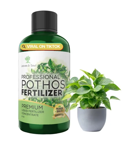Miniatura 9 de Dracaena profesional fertilizante líquido 3-1-2 concentrado de 8 onzas, alimento líquido prémium para plantas de interior, fertilizante líquido