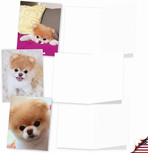 Miniatura 3 de The Best Card Company - 10 tarjetas de felicitación para perros en blanco para todas las ocasiones (4 x 5.12 pulgadas) - Boo El perro más lindo