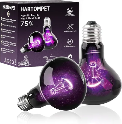 Miniatura 10 de Bombillas de calor para reptiles E26 de 60 W, luz UVA para dragón barbudo, lagarto, tortuga, pollitos, otros reptiles y anfibios, lámparas de calor