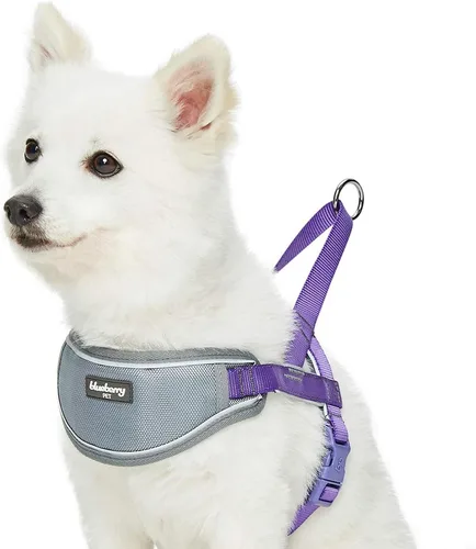 Miniatura 8 de Blueberry Pet Arnés acolchado para perro, 8 colores, suave y cómodo, tiras reflectantes 3M, contorno de pecho de 30 a 38.5 pulgadas, rojo, grande