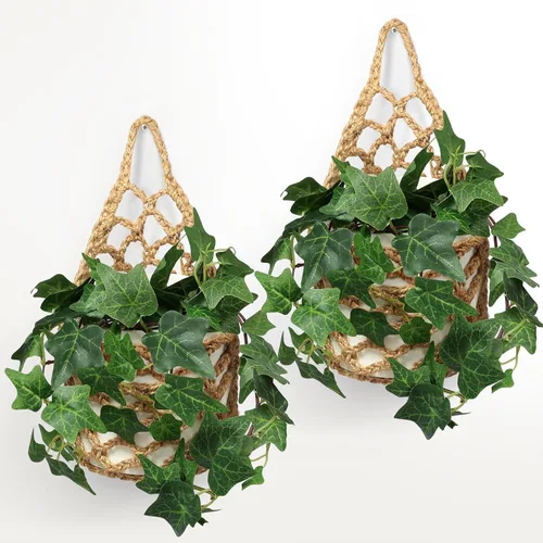 Miniatura 11 de Paquete de 2 Maceteros de Pared para Plantas de Interior, Colgador de Plantas de Macramé Macetero de Pared, Colgador de Plantas, Macetero Colgante