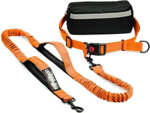 Miniatura 12 de Correa de perro manos libres con cinturón – Bungee sin tirones, asas acolchadas dobles y bolsa con cremallera para correr, caminar y entrenar