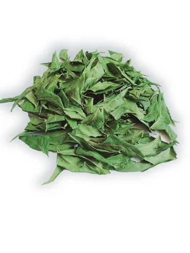 Miniatura 5 de Hojas de neem enteras cultivadas de forma natural, hojas de primera calidad, puras y secas frescas, 3 onzas / 3.00 oz de té de neem