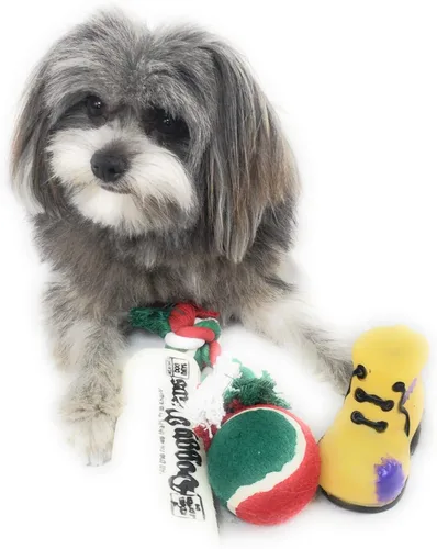Miniatura 3 de Calcetín de Navidad para perros. Juguete de periódico chirriante, juguete de bota chirriante, una pelota de tenis roja, verde y blanca y una cuerda