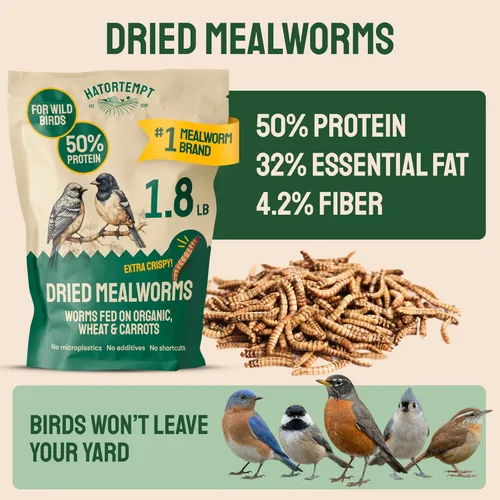 Miniatura 2 de Hatortempt Gusanos secos de harina para aves silvestres – Bolsa de 1.8 libras – Alimento Bluebird – Gusanos de comida con alto contenido