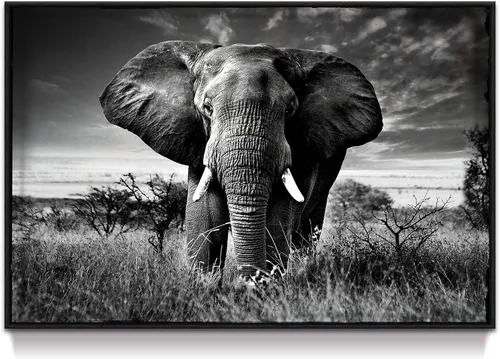 Miniatura 12 de Arte de pared blanco y negro de elefante – Pintura rústica en lienzo – Imagen de animales africanos – Obra de arte natural para decoración de baño