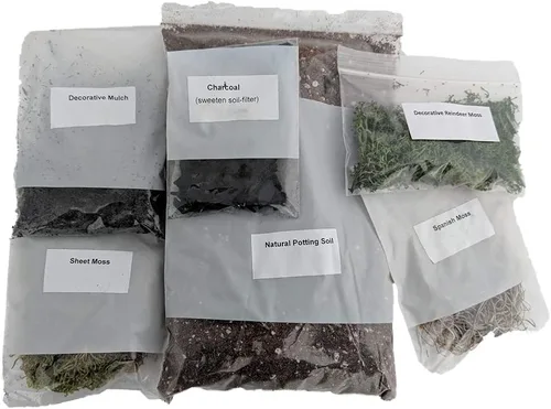 Miniatura 2 de Kit de Terrario de Hirt's Gardens - Crea Tu Propio Terrario Vivo