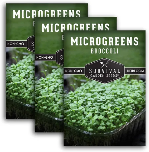 Miniatura 11 de Broccoli Microgreen Seeds for Broting - Semillas tradicionales sin OMG para cultivo en interiores o hidropónicos, cosecha rápida, densas