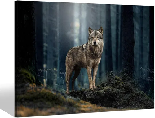 Sea Whisper - Lienzo de arte de pared de vida silvestre, lobo en la hierba con ojos firmes, naturaleza, bosque, escena de parque, pintura artística