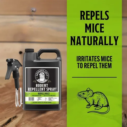 Miniatura 2 de Grandpa Gus's Repelente de roedores en aerosol con rociador, aceites naturales de menta y canela repelen ratones y detienen ratas, 1 galón