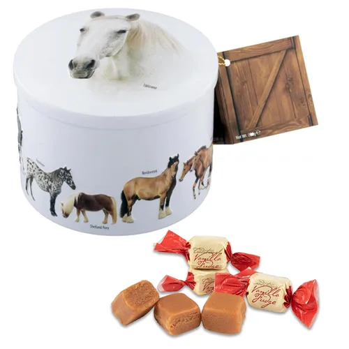 Miniatura 20 de Gardiners of Scotland Dulces de caramelo hechos a mano 200g en lata redonda, Caramelo de vainilla con mariposas