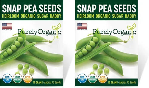 Miniatura 8 de Semillas orgánicas de guisantes dulces (Sugar Daddy) - Aproximadamente 75 semillas - USDA Orgánico, sin OGM, polinización abierta, variedad