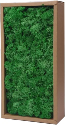 Miniatura 21 de Musgo preservado, musgo de 3.5 onzas para manualidades, decoración de musgo sintético, musgo verde natural para decoración de pared de floristería