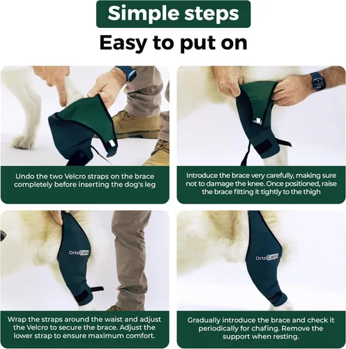 Miniatura 6 de Ortocanis Rodillera para Perro para Desgarro de LCA en Pata Trasera, Lesiones de Ligamento Cruzado, Dislocación de Rótula u Osteoartritis