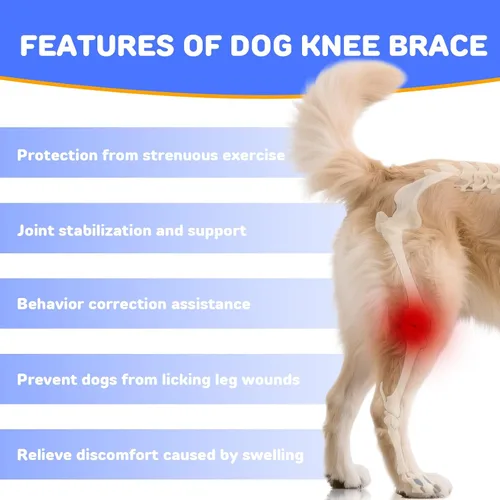 Miniatura 3 de RUXAN Rodillera para perro para Acl, soportes para piernas de perro para pierna trasera, rodillera para dolor y apoyo de artritis, juego de arnés