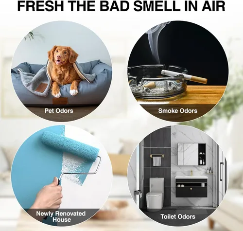 Miniatura 4 de Generador de ozono - Purificador de aire O3 de alta capacidad de 80,000 mg/h para control de olores en el hogar, cocina, automóvil, oficina, sótano