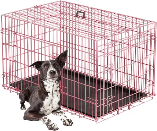 Miniatura 25 de FDW Jaula para perros con doble puerta, jaula plegable de alambre de metal de 36 pulgadas con bandeja extraíble y panel divisor, jaula para mascotas