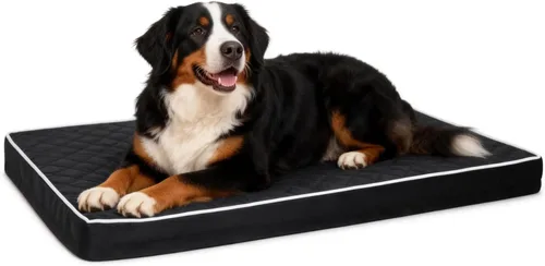 Miniatura 11 de NUPIDA Camas ortopédicas para perros pequeños, impermeables, con funda extraíble lavable y parte inferior antideslizante, cama acolchada para perros