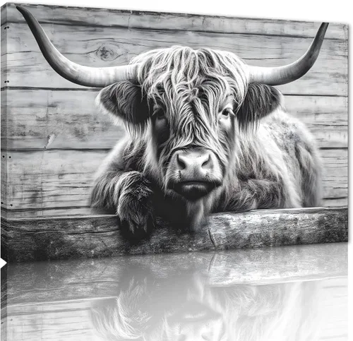 Miniatura 19 de Póster moderno de pared de vaca de las tierras altas, póster impreso en lienzo alpino desierto, decoración de pared de animales para sala de estar