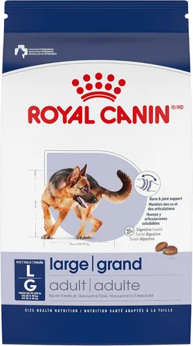 Royal Canin Size Health Nutrition Alimento Seco para Perros Adultos de Raza Grande, Bolsa de 30 lb