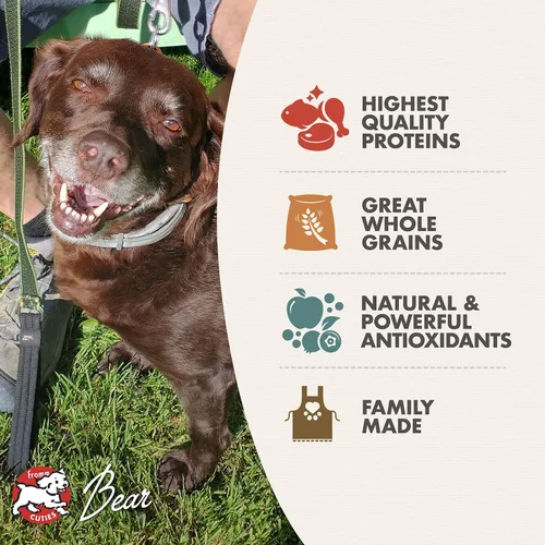 Miniatura 3 de Fromm Alimento clásico para perros adultos, alimento seco prémium para perros grandes, medianos y pequeños, receta de pollo, 5 libras