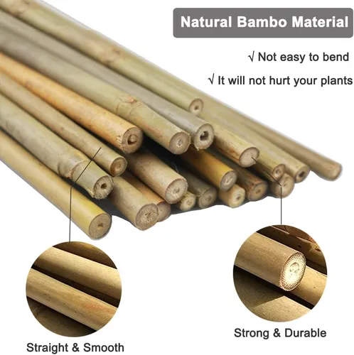 Miniatura 3 de 20 estacas de bambú natural de 18 pulgadas para plantas de interior, palos de bambú, estacas de bambú de jardín para plantas en maceta, tomate