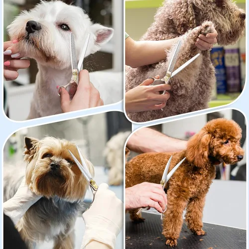 Miniatura 2 de JASON Kit de tijeras profesionales 6 en 1 para perros, adelgazamiento de 7.5 pulgadas, afilador, recto, tijeras curvadas y peine para gatos, oro rosa