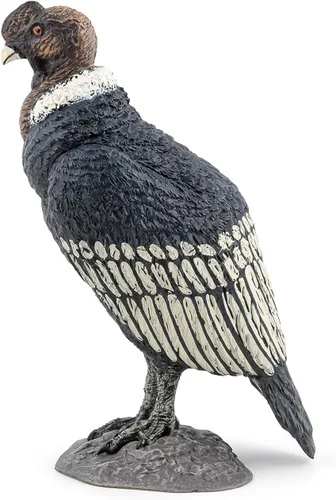 Miniatura 2 de Papo - Figura realista de cóndor - A partir de 3 años - Colección Wild Life - Juego educativo de aves de presa - Juguete de idea de regalo