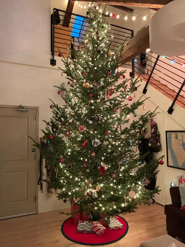 Miniatura 5 de Goliath Soporte de acero soldado para árbol de Navidad para árboles vivos de 5 a 12 pies