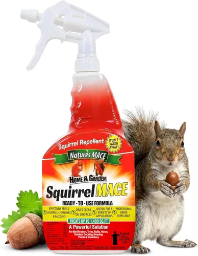 Nature's Mace Maza de ardilla, repelente de ardillas para exteriores, aerosol de 40 onzas, repelente de ardillas y ardillas, mantiene a las ardillas