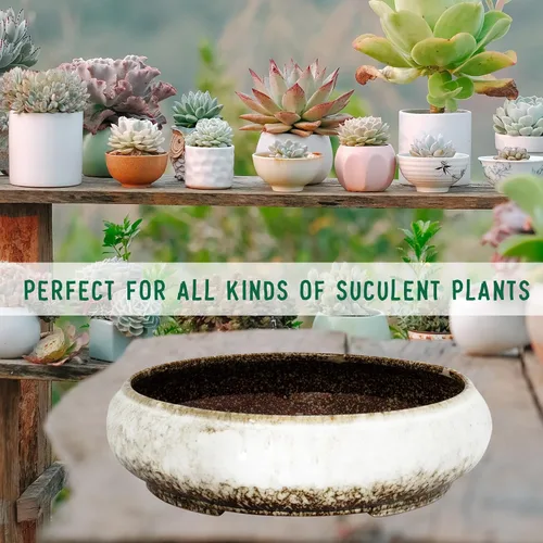 Miniatura 7 de Macetas de suculentas - Macetas de bonsái de cerámica de 11.5 pulgadas con drenaje, macetas de suculentas grandes y poco profundas para plantas