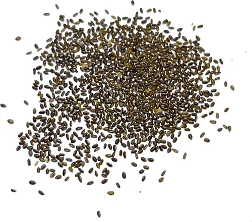 Miniatura 6 de Seed Needs Semillas de limón y menta para plantar hierbas anuales sin OMG, 1 paquete
