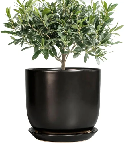 Miniatura 25 de Maceta de Cerámica para Plantas de Interior de 5 Pulgadas - Maceta Redonda para Plantas Suculentas con Agujero de Drenaje y Platillo, Decoración