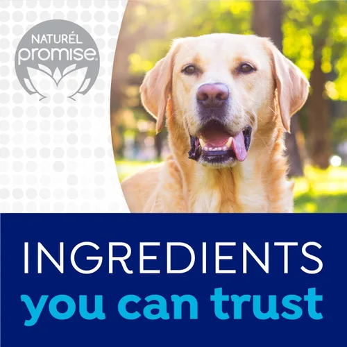 Miniatura 7 de Naturel Promise Kit de cepillo dental fresco y pasta de dientes para perros, kit de limpieza de dientes para eliminación de placa y sarro, contiene